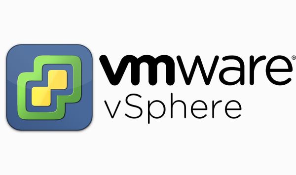 VM mit dem vSphere Client exportieren