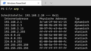 ARP Cache löschen